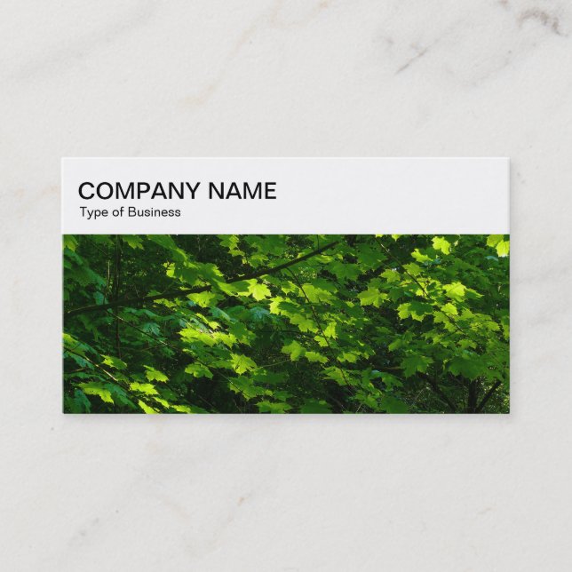 Top Panel - Sun lit Leaves Business Card (Front)