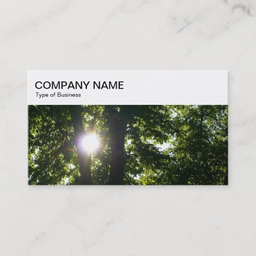 Top Panel _ Sun Shining Through Trees Business Car Business Card