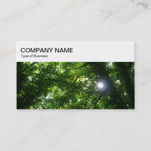 Top Panel _ Sun Shining Through Trees Business Car Business Card