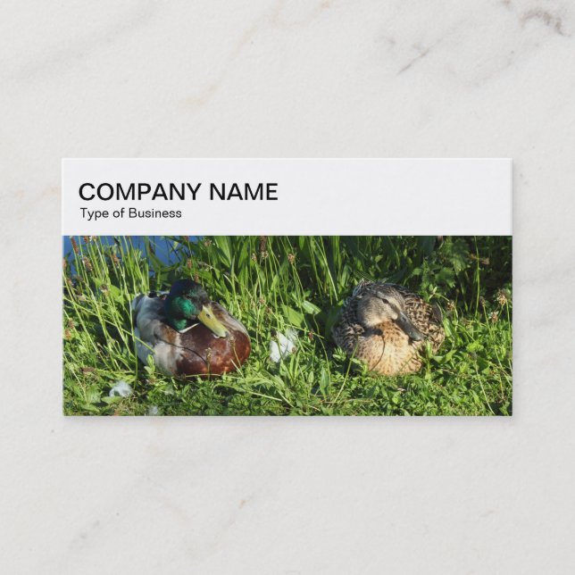 Top Panel - Two Ducks Business Card (Front)