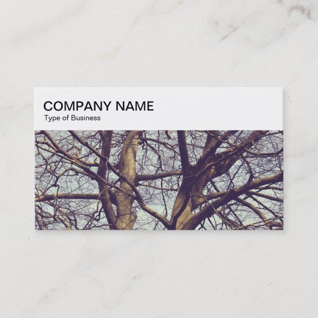 Top Panel - Winter Branches 02 Business Card (Front)