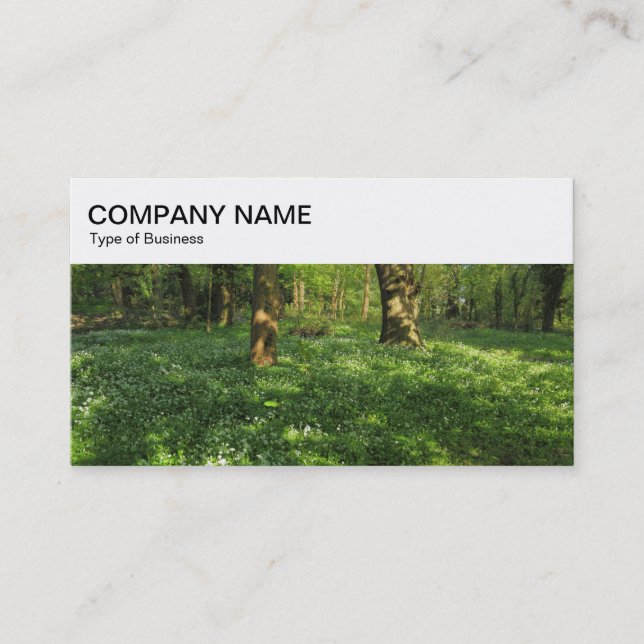 Top Panel - Woodland Business Card (Front)