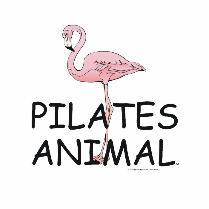 TOP Pilates Animal Photo Cutouts