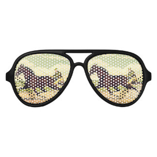 TOP Sulky Champ Aviator Sunglasses