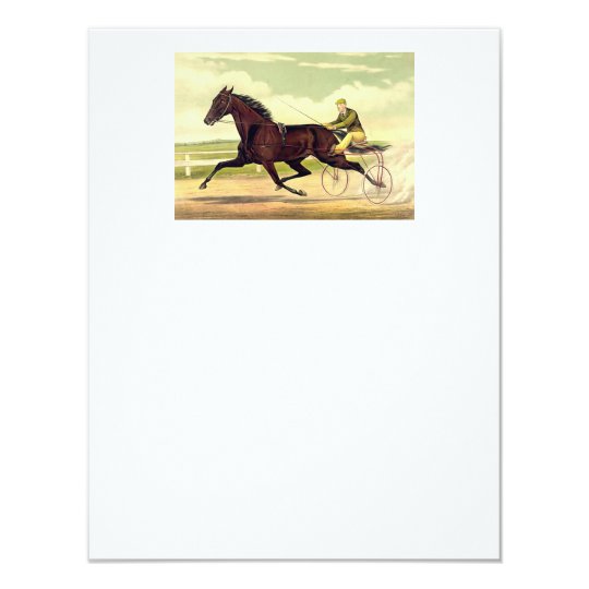 TOP Sulky Champ Card