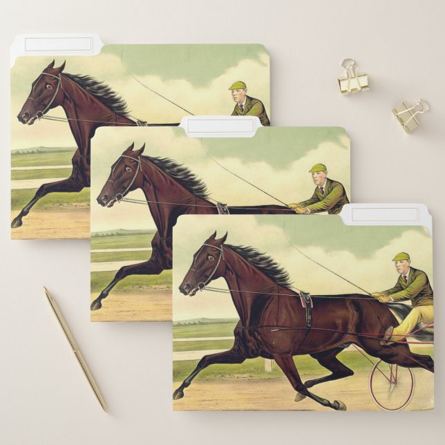 TOP Sulky Champ File Folder (Set)