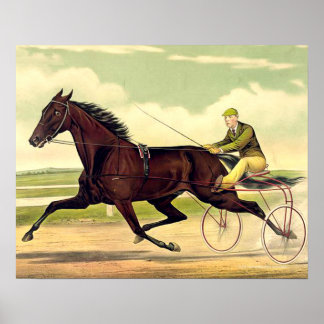 TOP Sulky Champ Poster