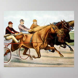 TOP Trotter Poster