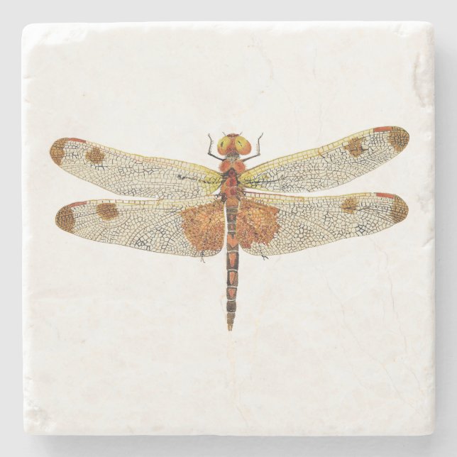 top view of a male Calico Pennant Dragonfly Stone Coaster (Front)