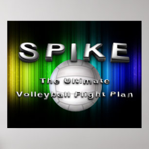 TOP Volleyball Flight Plan Poster