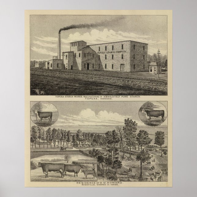 Topeka Starch Worksand Residence of DM Howard Poster (Front)