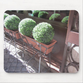 Topiary Balls Mouse Pad