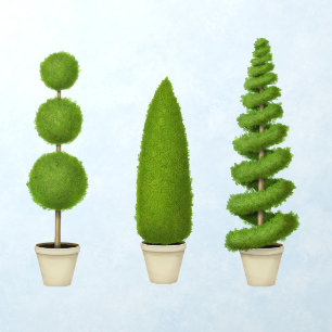Topiary Garden Balls Conical Spiral Potted Plants Wall Decal