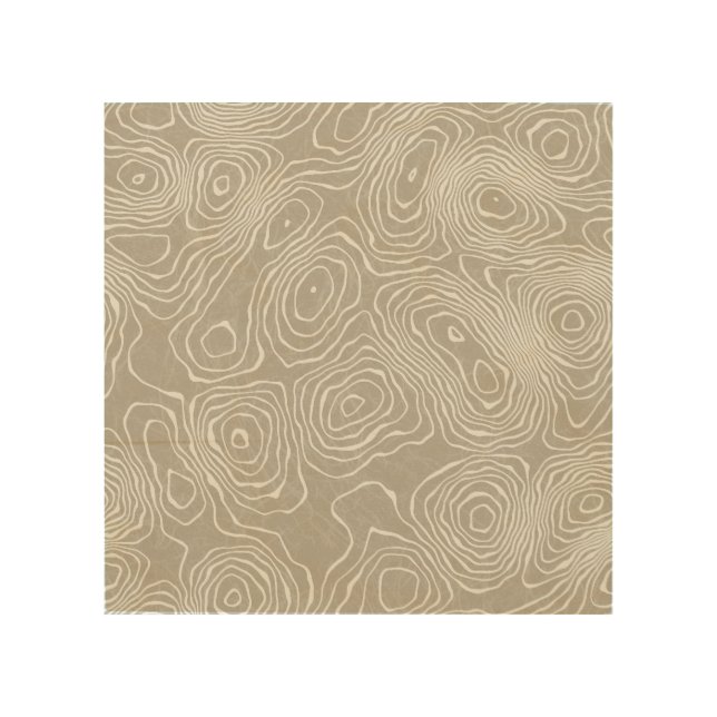 Topographic Earth Lines: Organic Map Wood Wall Art (Front)