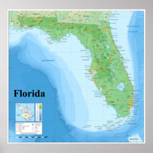 Topographic Map of the American State of Florida Poster