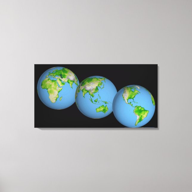 Topographic views of the world canvas print (Front)