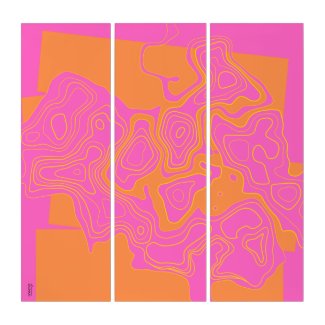 Topographical Pink Orange Abstractly Triptych