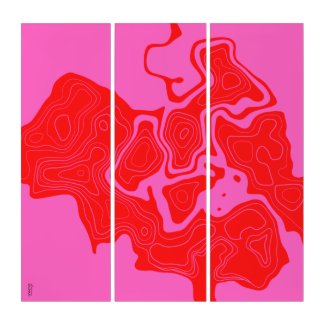 Topographical Pink Red Abstractly Triptych