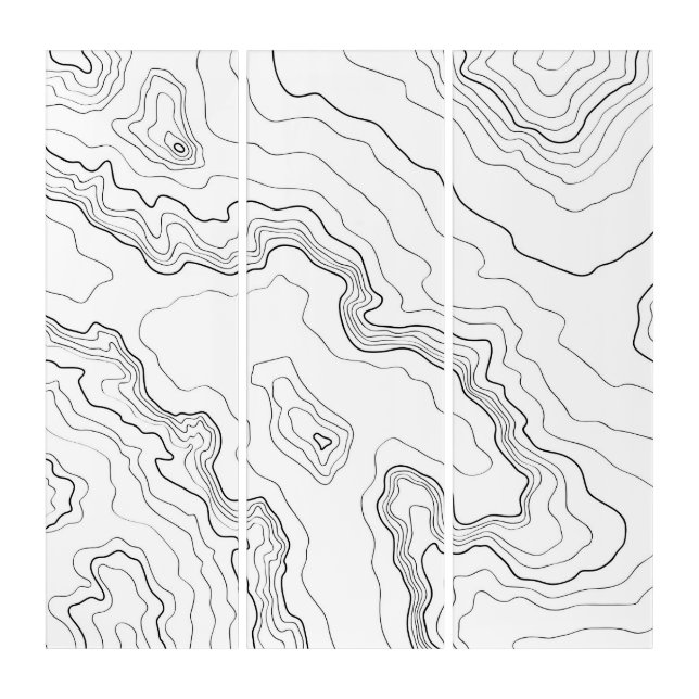 Topography maap triptych (Front)