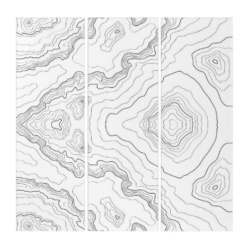 Topographyc map triptych