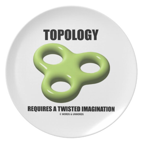 Topology Requires A Twisted Imagination Toroid Plate