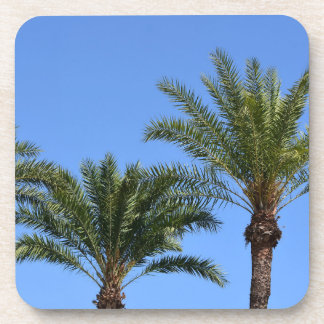 Tops of Palm Trees against the Blue Sky  Beverage Coaster
