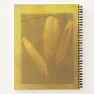 Torah Study Reflections Notebook