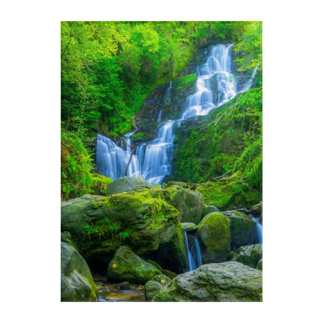 Torc Waterfall Killarney – Ireland Forest Cascade  Acrylic Print (Front)