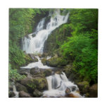 Torc waterfall scenic, Ireland Ceramic Tile<br><div class="desc">Torc Waterfalls,  Killarney National Park,  County Kerry,  Republic of Ireland | Jaynes Gallery / DanitaDelimont.com</div>