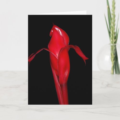 Torch Ginger Card