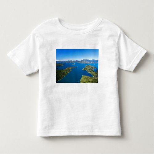 Torea Bay Queen Charlotte Sound Marlborough Toddler T_shirt