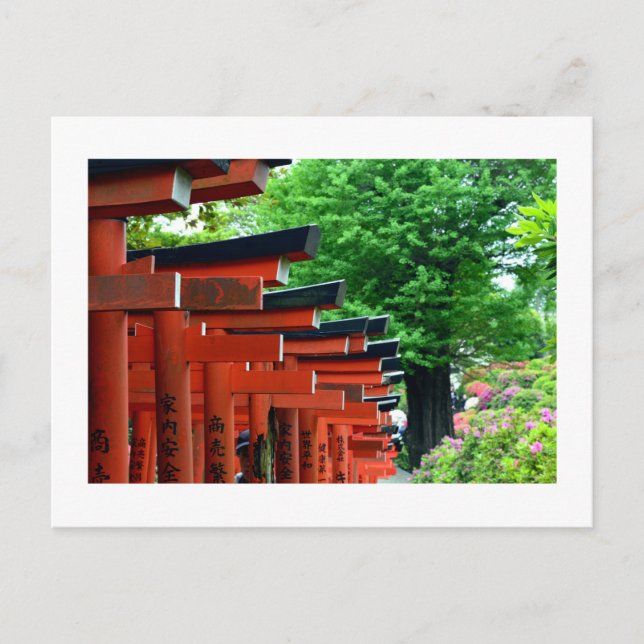 Torii Gates, Nezu Shrine: Tokyo, Japan Postcard (Front)