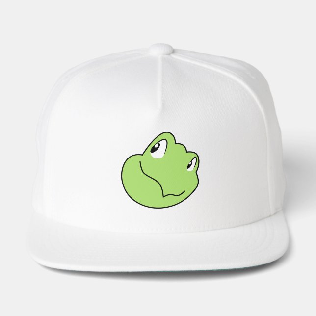 Torin the Turtle Cartoon Smiling Face 2 Snap Back Hat (Front)