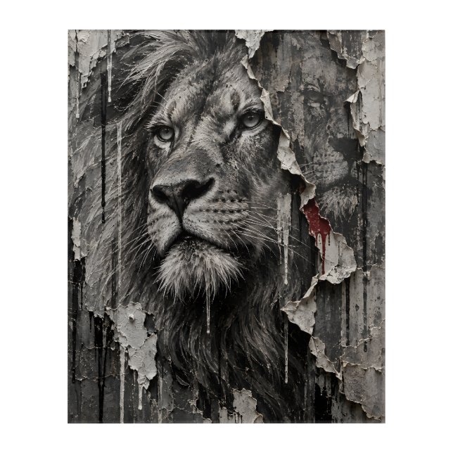 Torn Between Dignity and Decay Acrylic Print (Front)