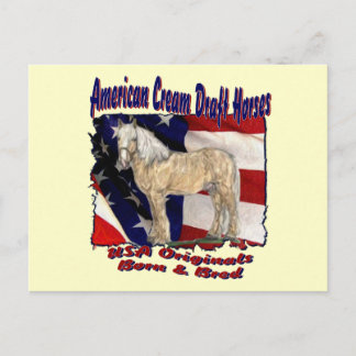 Torn Flag Cream Postcard