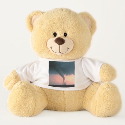 Tornado Teddy Bear