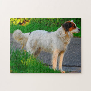 Tornjak Dog Jigsaws. Jigsaw Puzzle