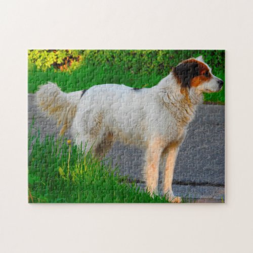 Tornjak Dog Jigsaws Jigsaw Puzzle