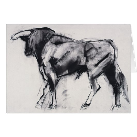 Toro Azul study (Front Horizontal)