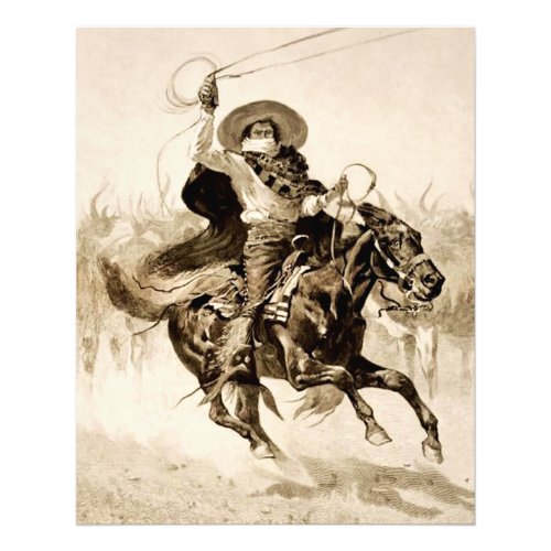 Toro Toro A Vaquero Roping a Steer Photo Print