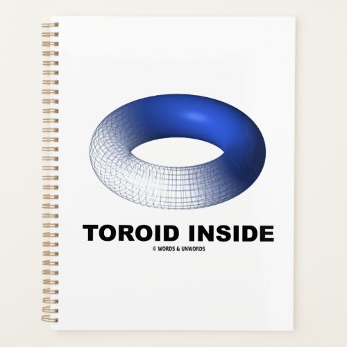 Toroid Inside Blue Torus Planner