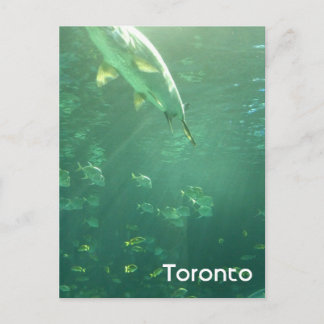 Toronto Aquarium Postcard