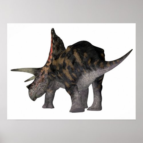 Torosaurus Dinosaur Tail Poster