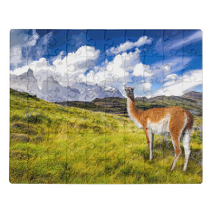 Torres del Paine Jigsaw Puzzle