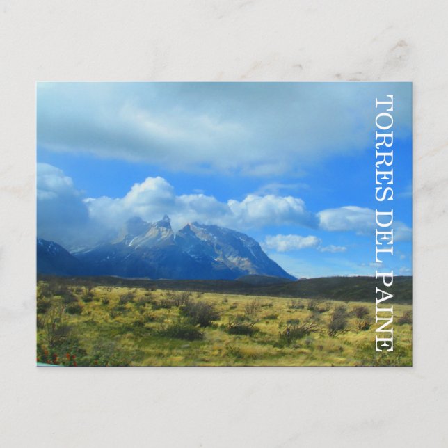 torres del paine landscape postcard (Front)
