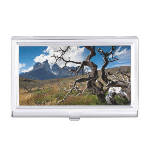 Torres del Paine National Park, fire damaged trees Business Card Holder