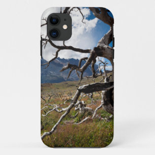Torres del Paine National Park, fire damaged trees iPhone 11 Case