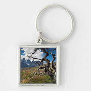 Torres del Paine National Park, fire damaged trees Keychain