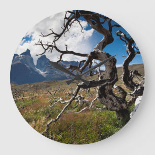 Torres del Paine National Park, fire damaged trees Large Clock