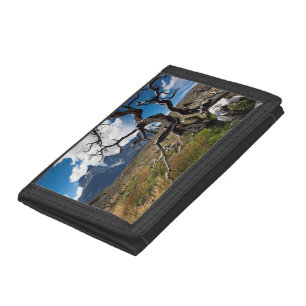 Torres del Paine National Park, fire damaged trees Tri-fold Wallet